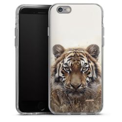 Silikonskal genomskinlig