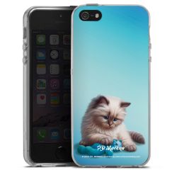 Silikonskal genomskinlig