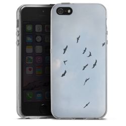 Silikonskal genomskinlig