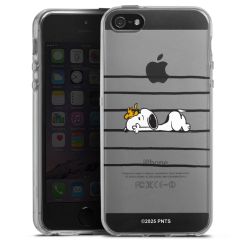 Silikonskal genomskinlig