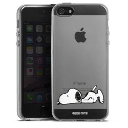 Silikonskal genomskinlig