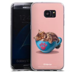 Silikonskal genomskinlig