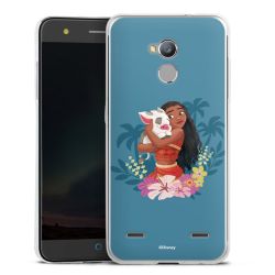 Silikonskal genomskinlig