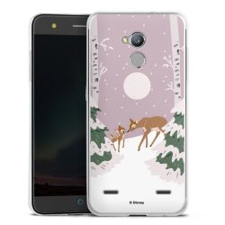 Silikonskal genomskinlig