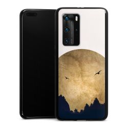 Twee vogels en de maan