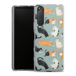 Silikonskal genomskinlig