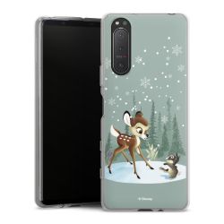 Silikonskal genomskinlig