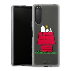 Silikonskal genomskinlig