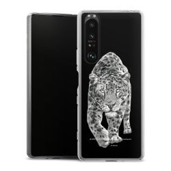 Silikonskal genomskinlig