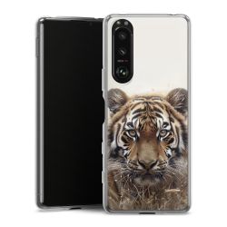 Silikonskal genomskinlig