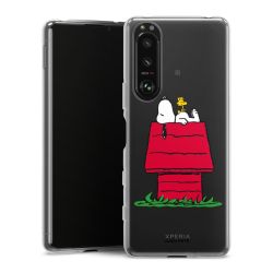 Silikonskal genomskinlig