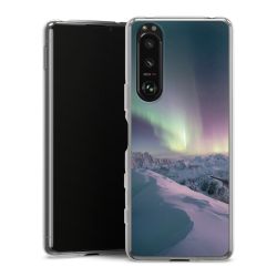 Silikonskal genomskinlig