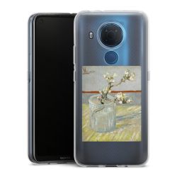 Silikonskal genomskinlig