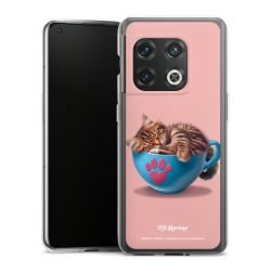 Silikonskal genomskinlig