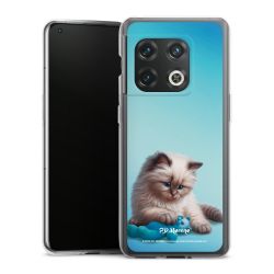 Silikonskal genomskinlig