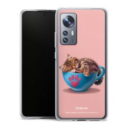 Silikonskal genomskinlig