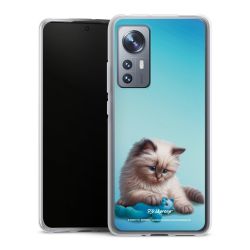 Silikonskal genomskinlig