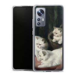 Silikonskal genomskinlig