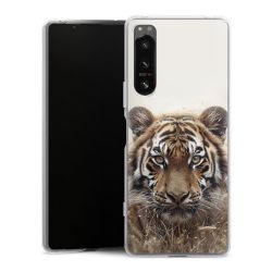 Silikonskal genomskinlig