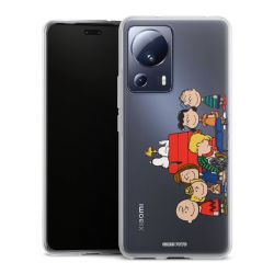 Silikonskal genomskinlig