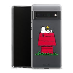 Silikonskal genomskinlig