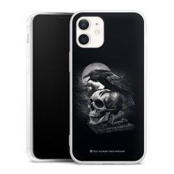 Poe's Raven