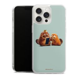 Silikonskal genomskinlig