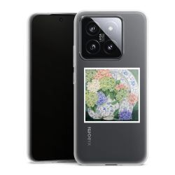 Silikonskal genomskinlig