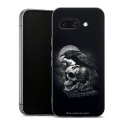 Poe's Raven