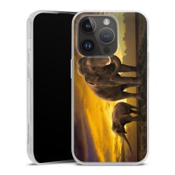 Silicone Case transparent