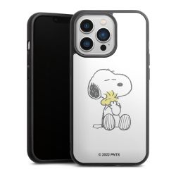 Snoopy And Woodstock kuscheln