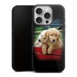 Gallery Case black