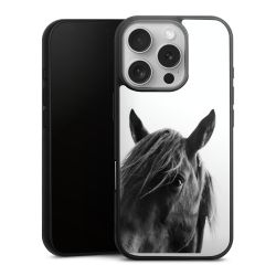 Gallery Case black