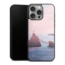 Gallery Case black