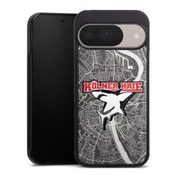 Kölner Haie City