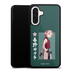 Gallery Case black