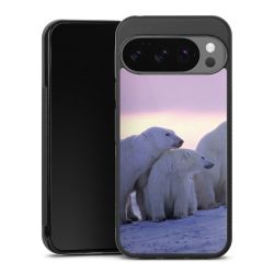 Gallery Case black