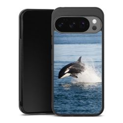 Gallery Case black