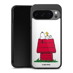 Snoopy & Woodstock
