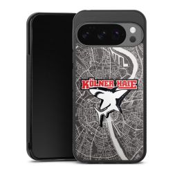 Kölner Haie City