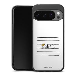 Gallery Case black