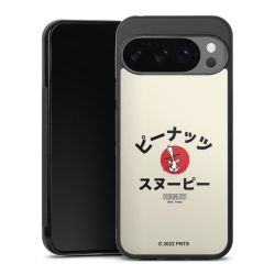 Gallery Case black