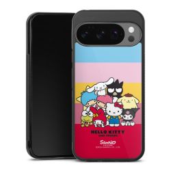 Gallery Case schwarz