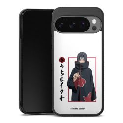 Gallery Case black