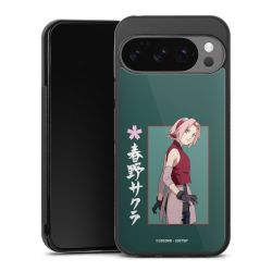 Gallery Case black