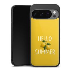 Gallery Case black