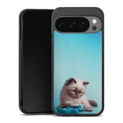 Gallery Case black