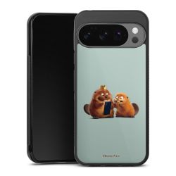 Gallery Case black