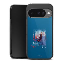 Gallery Case black