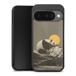 Gallery Case black